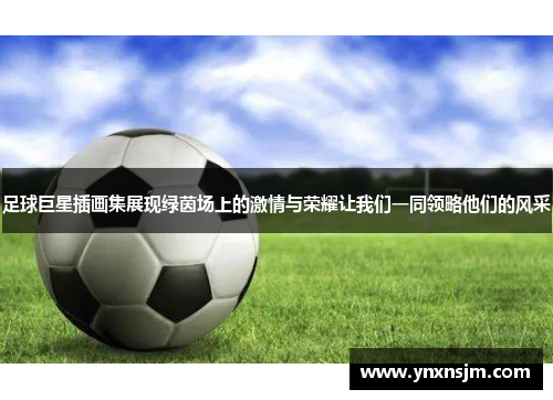 足球巨星插画集展现绿茵场上的激情与荣耀让我们一同领略他们的风采