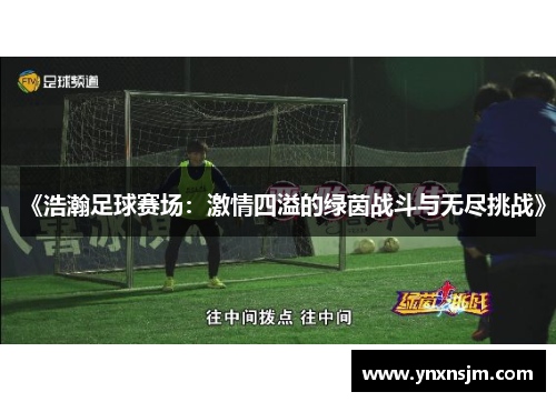 《浩瀚足球赛场：激情四溢的绿茵战斗与无尽挑战》