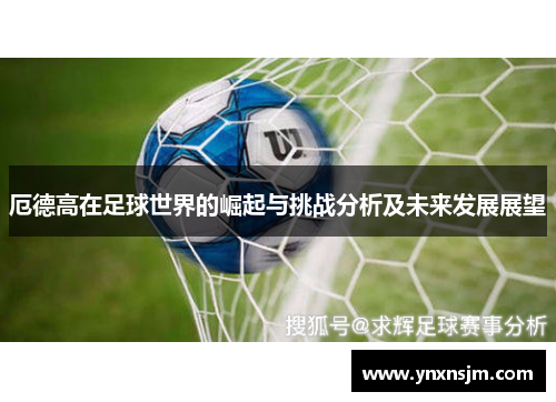 厄德高在足球世界的崛起与挑战分析及未来发展展望
