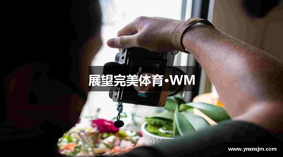 展望完美体育·WM